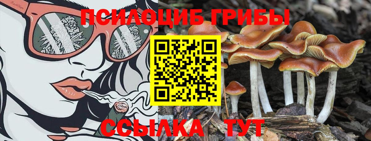 Псилоцибиновые грибы ЛСД  Вход с VPN  купить   Кропоткин 